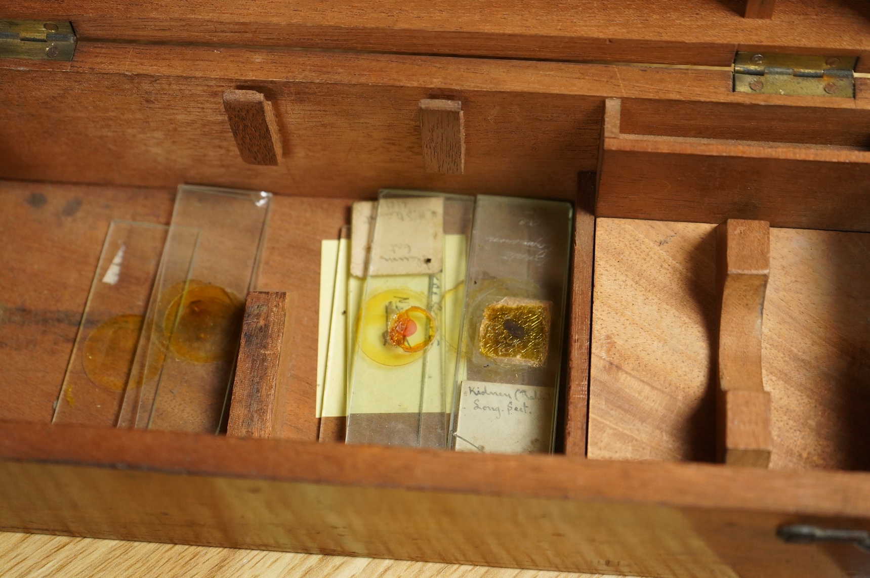 Two microscopes; an early 19th century Martin type brass compound monocular microscope, with five numbered objectives, specimen tube and hand magnifier, mahogany case 27cm wide, together with a late 19th/early 20th centu